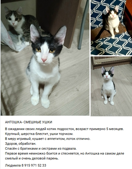 Пост добра. Распространите, пожалуйста.