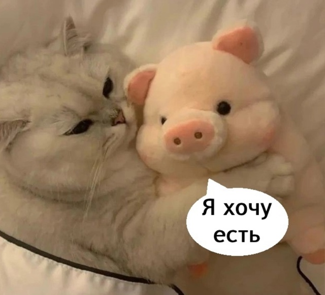 Ой как же это про нас