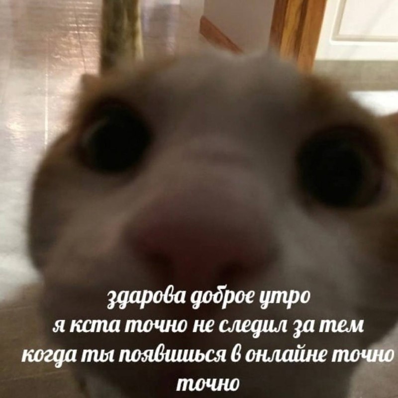 Утренняя подборочка