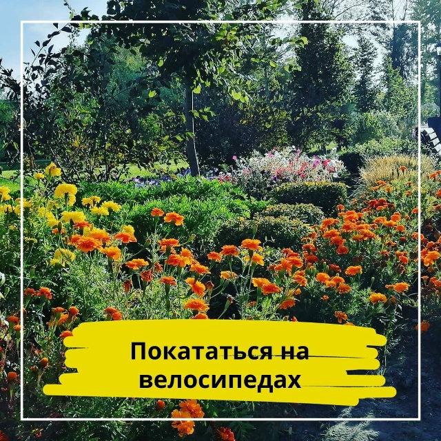 🍁 Чек–лист: Осень по-вольски
Осень уже вступила в сво?...