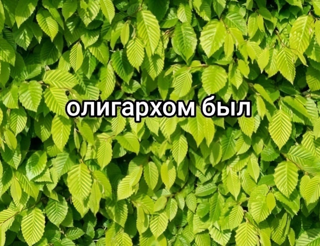 Эх, было дело