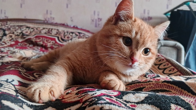 Рик🥰
Позёр😘