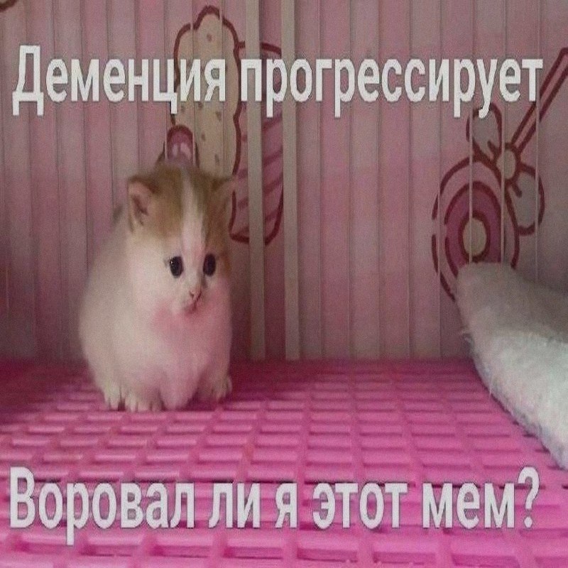 Ночная подборочка
Выходные, не спим