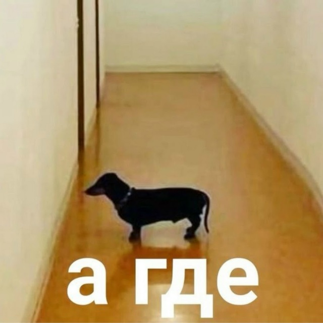 Разрабы Hytale, убийцы Майнкрафта с полноценным сюжетом, ?...