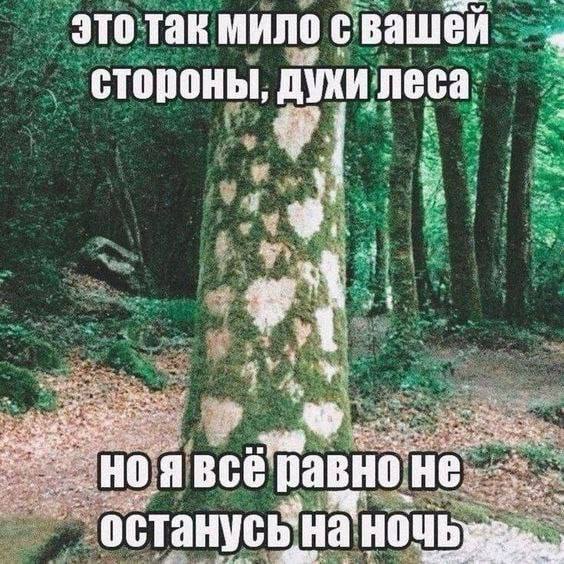 Утренняя подборочка