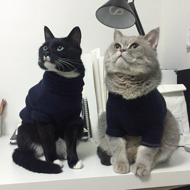 Утеплились😍