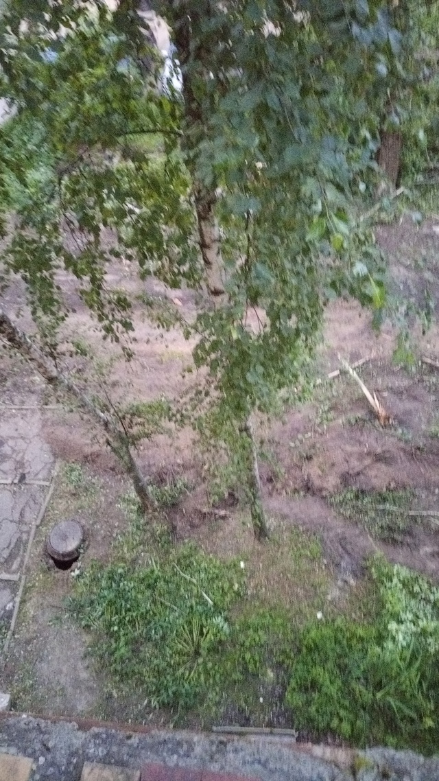 Вот такие методы благоустройства территории на Панина...