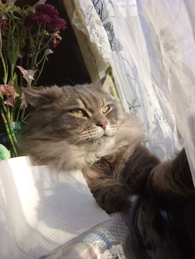 Принимаем солнечные ванны и витамин 