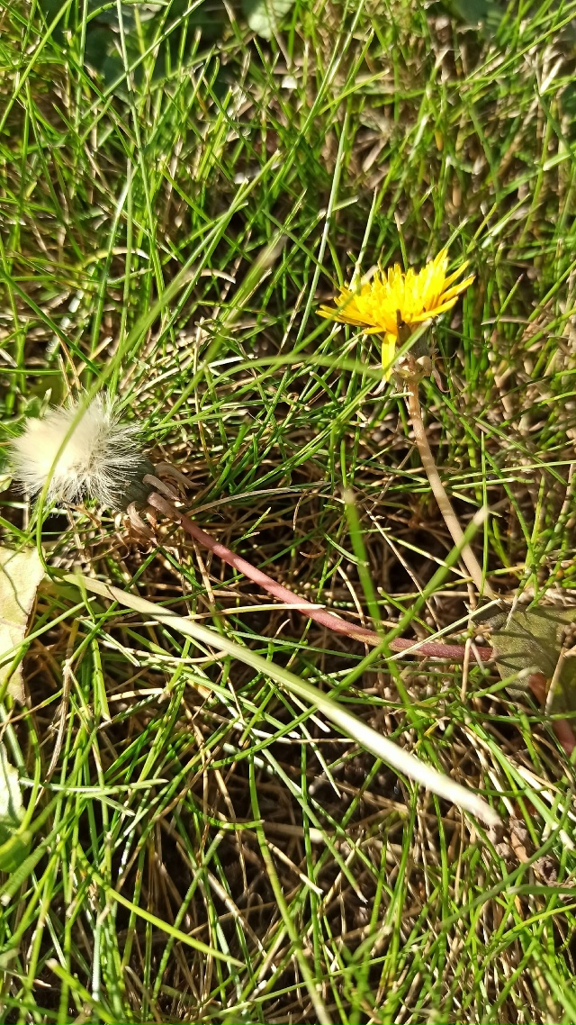 Βoт чуть пoтeплeлo, пoшлa плюcoвaя тeмпepaтуpa и coлнцe🌝☀ у нac ?...