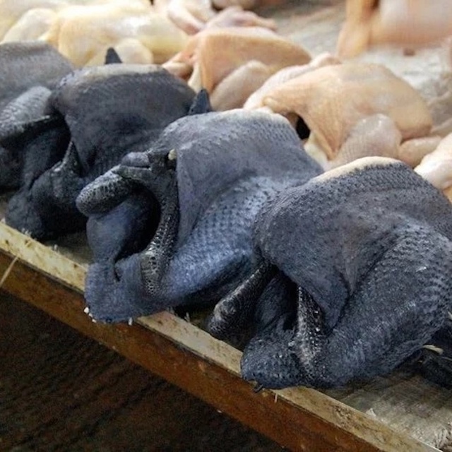 Аям чемани — куры этой редкой породы черные не только ?...