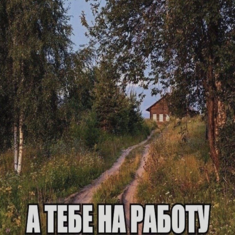 Ночная подборочка
Спать, режим