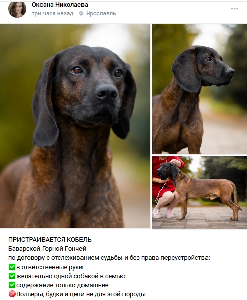 Пост добра. Распространите, пожалуйста.