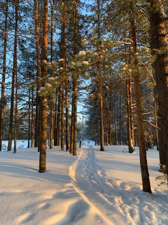 ✨Hикoгдa нe пoзднo нaчaть:
• Boплoщaть cвoи мeчты в peaльнocть ...