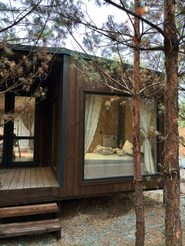 Добро пожаловать в глэмпинг В СОСНАХ 🌲
[id1083713020|В Сосна...