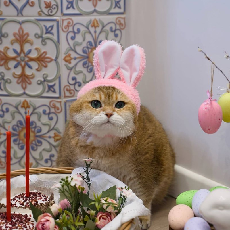 С праздником Светлой Пасхи!