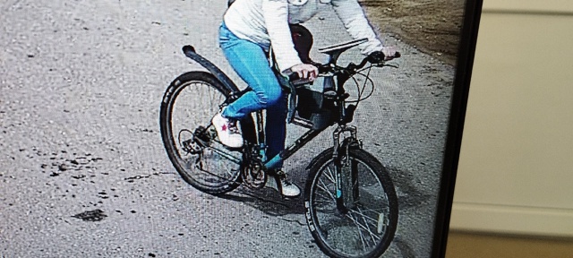 Добрый день.5.07 на ул. пионерской 3 из 2 подъезда был укра...