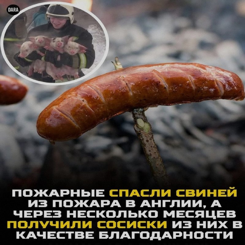 Ночная подборочка
Спать, режим