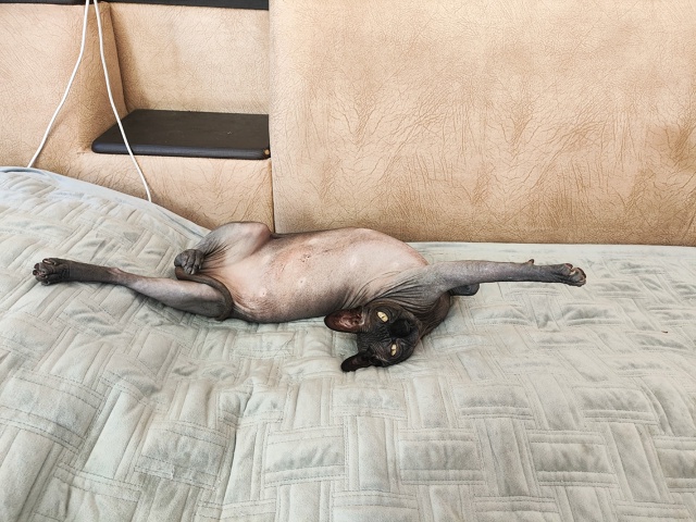 Идите туда ➡️или туда ⬅️, только мне не мешайте!