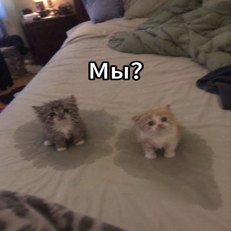 Утренняя подборочка