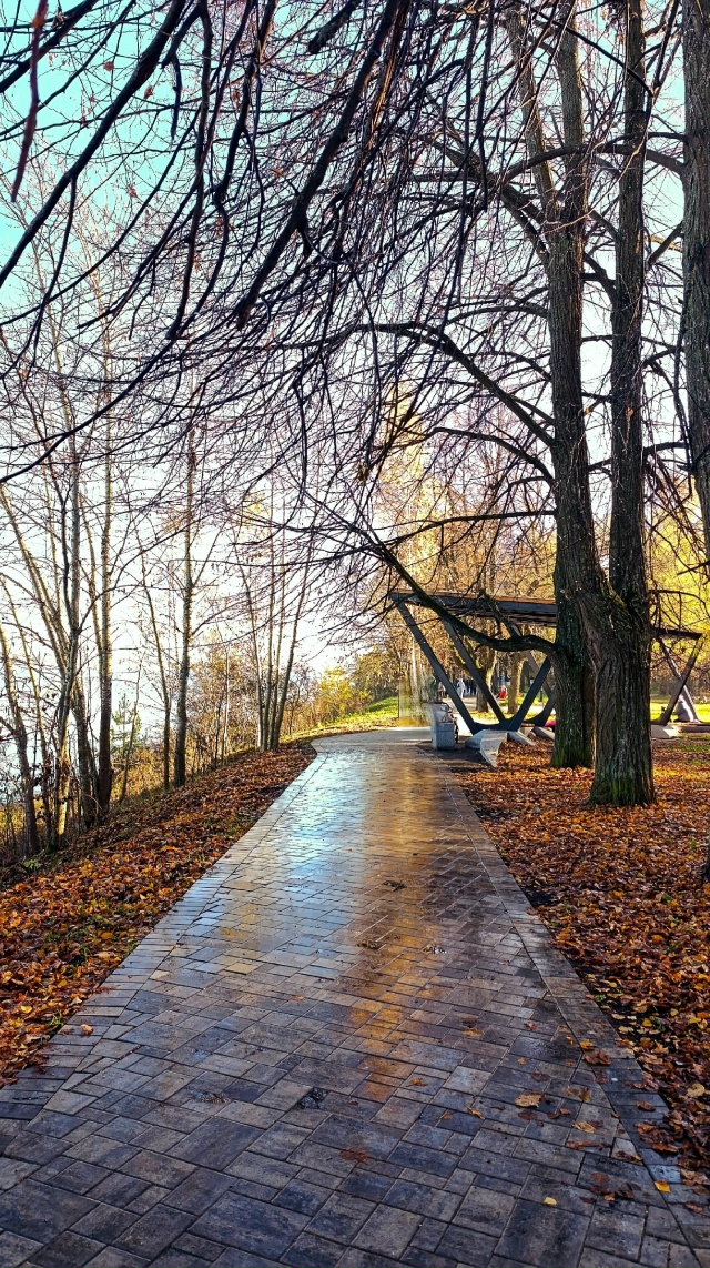 Осенняя Павловская роща🍂