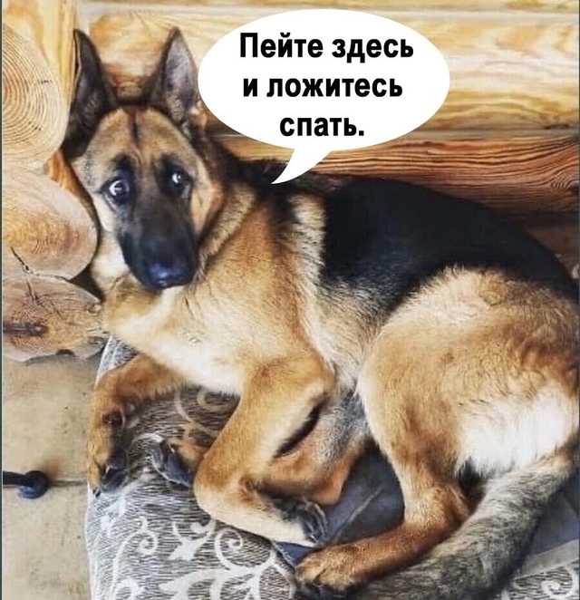 и в чем она не права?