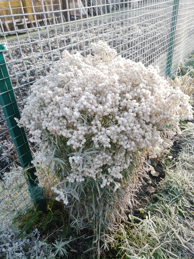 Нас утро встречает прохладой