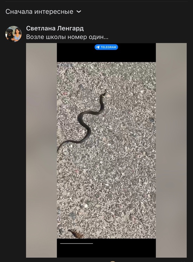 Фото от подписчицы ..
И снова змеи ? Я так боюсь их,я хо?...