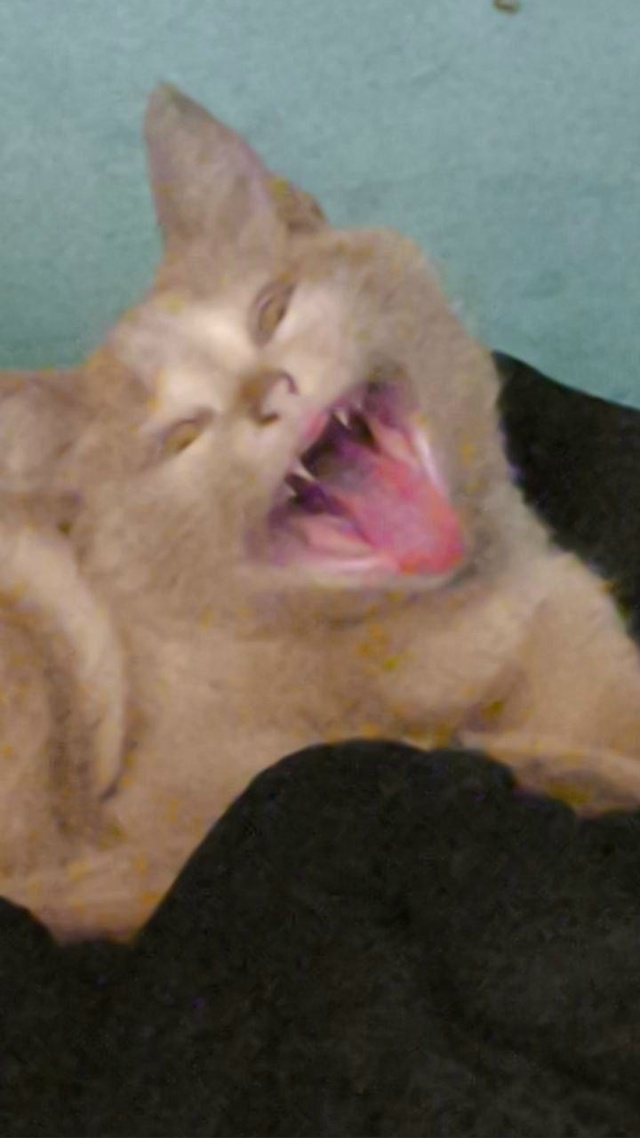 Вот оно лицо победителя по жизни, когда стальной колос?...