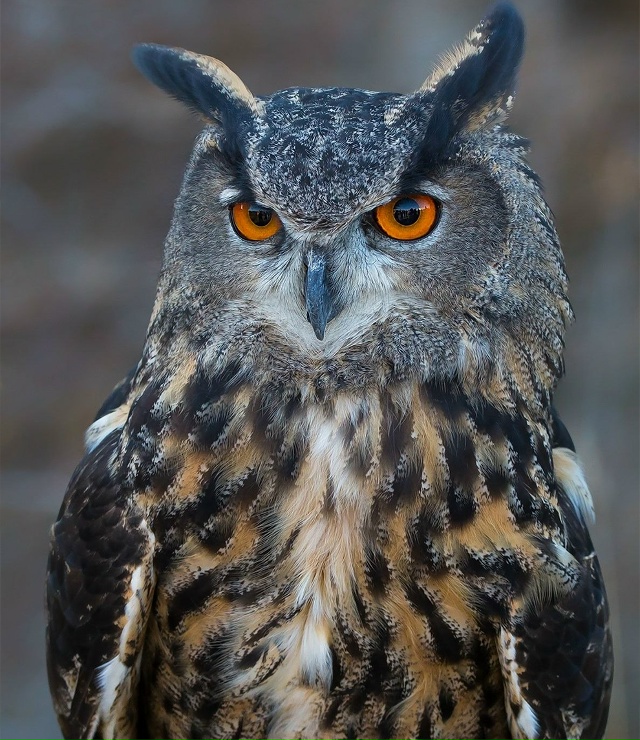 Научное исследование с участием 26 тысяч человек подтв?...