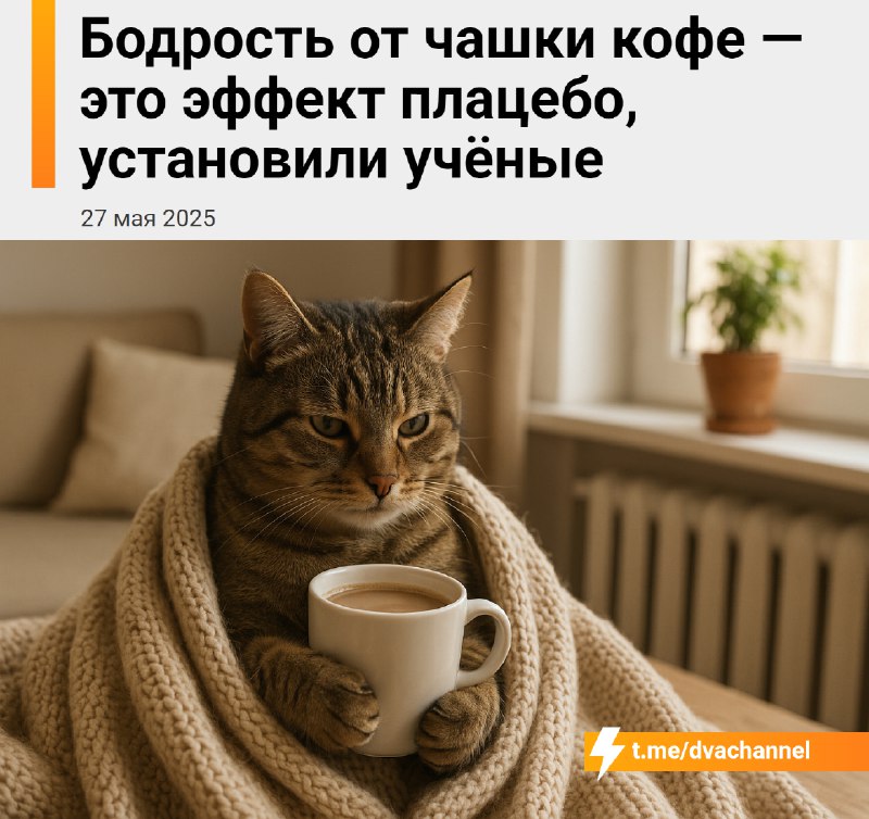 Ощущение бодрости от кофе часто связано с самовнушением, показало исследование
Учёные разделили люд