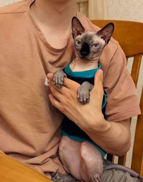 Помогите советом, пожалуйста!
Коту 2,5 года. Воспитывал?...