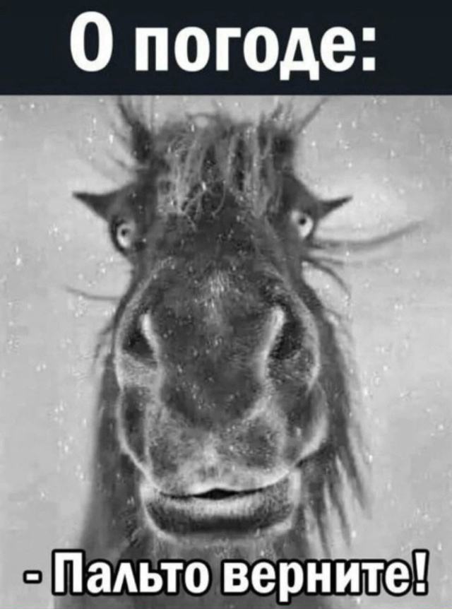 С первыми морозами , северяне?