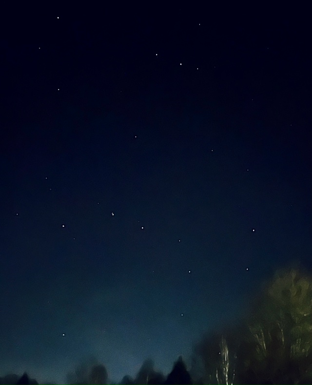 Спокойной ночи 🌙
Фото: Татьяна Сабанцева