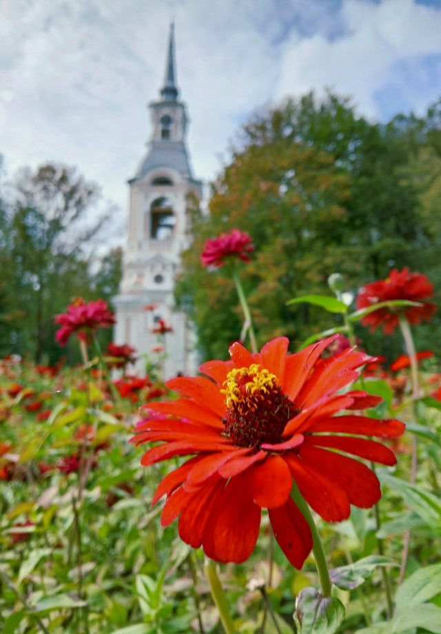 Осенний Осташков...