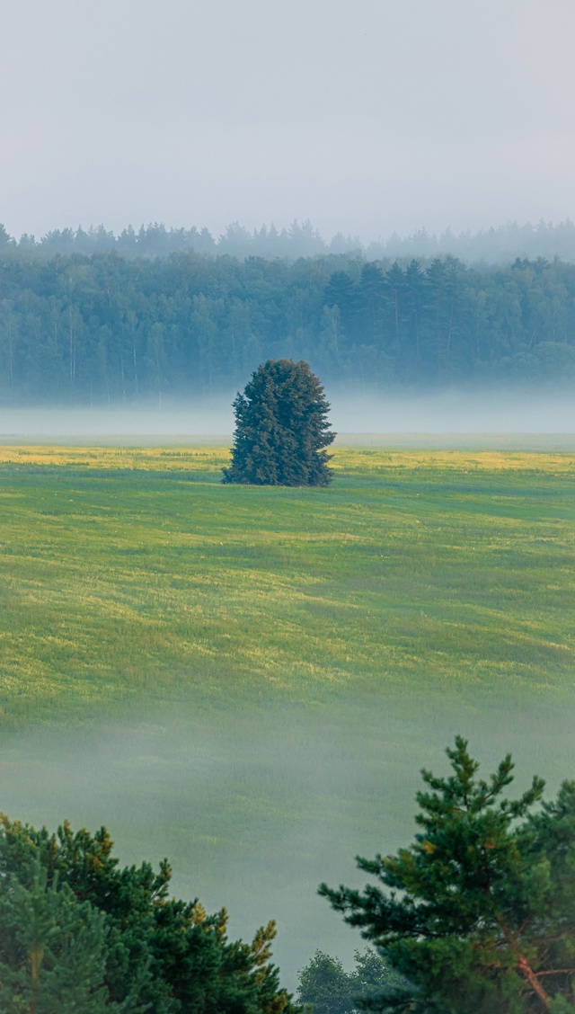 Буныревские туманы