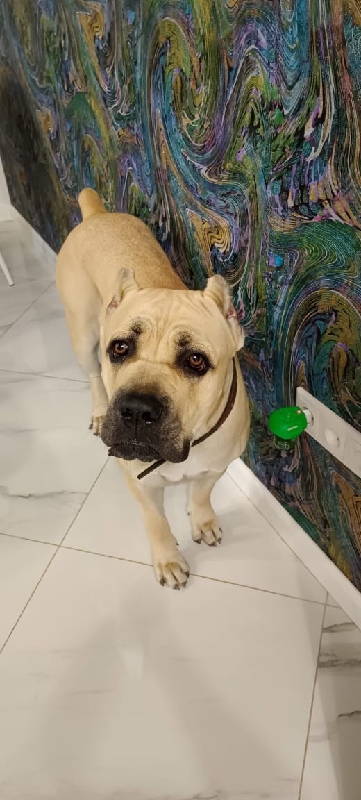 В.Новгород,может находиться в любом городе