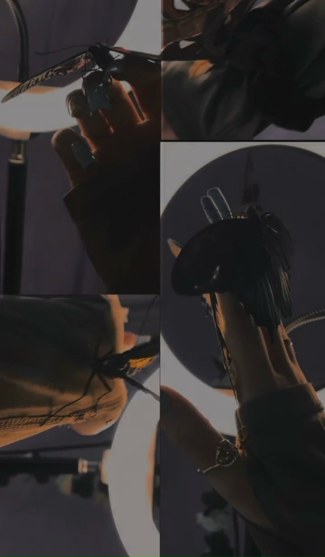 УВАЖАЕМЫЕ ЖИТЕЛИ ГОРОДА КОВРОВ !!!!!
У нас идёт финальна?...