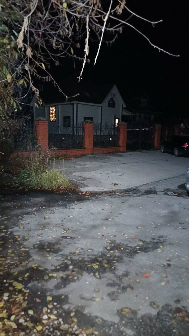 Найден сбитый кот по дороге к старому дк кот ещё живой ?...