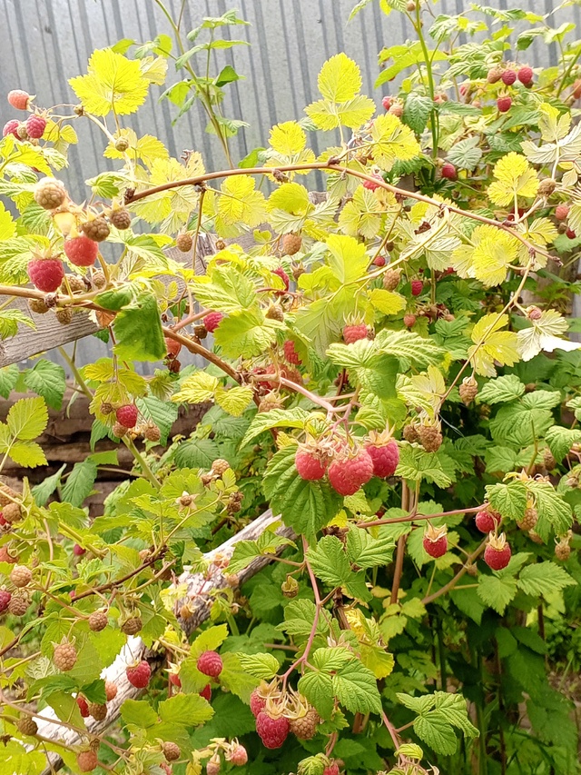 Это мы удачно зашли.