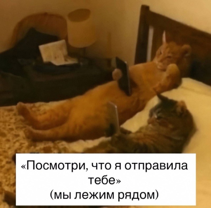 Утренняя подборочка