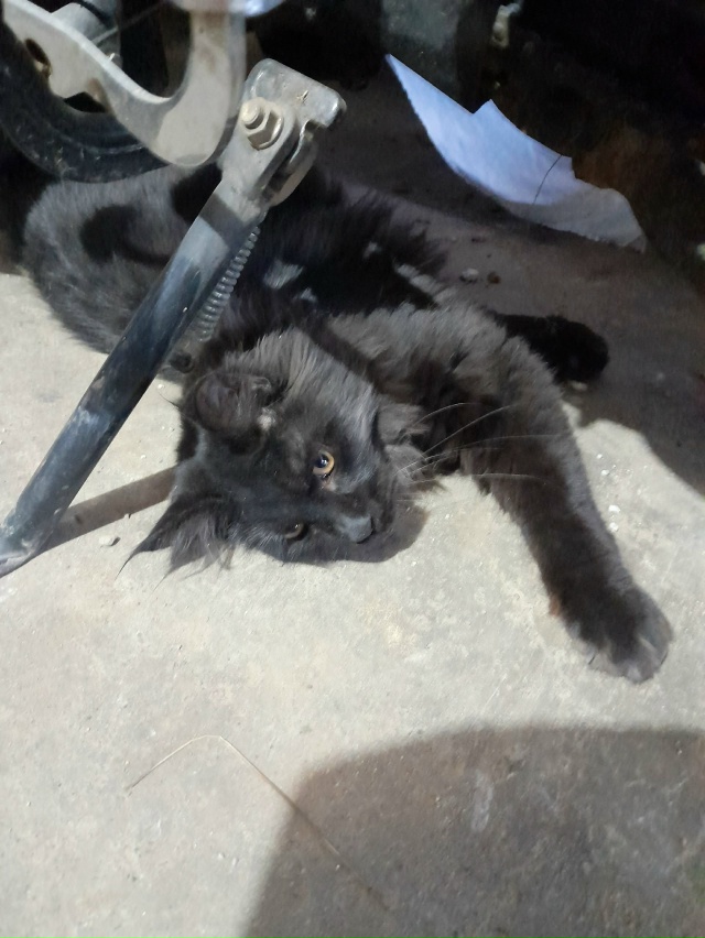 Срочно,чья потеряшка? Подросток,предположительно мейк...