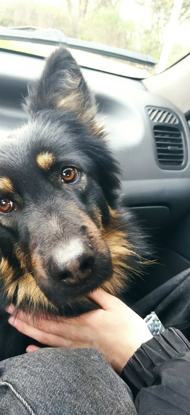 Хочу выразить огромную благодарность всём, благодаря ?...