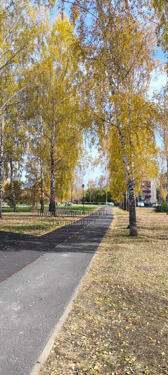 Осень в Салавате великолепна❤??
