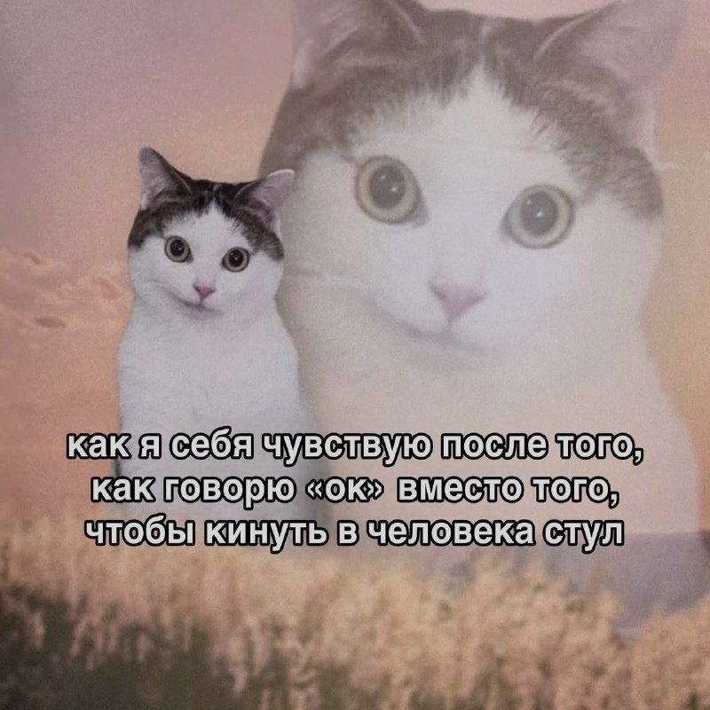 Ночная подборочка
Спать, режим