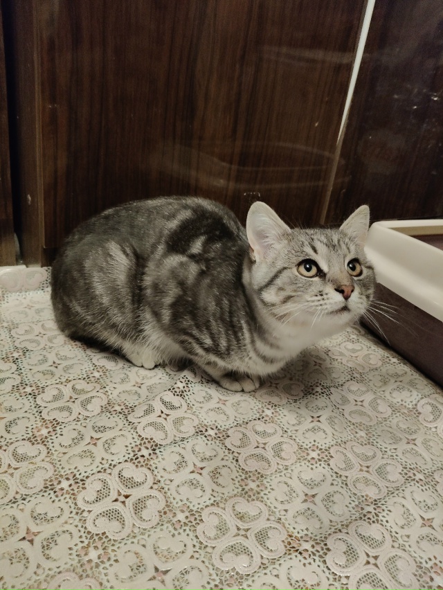 Помогаю информационно. На участке у пожилой женщины по...