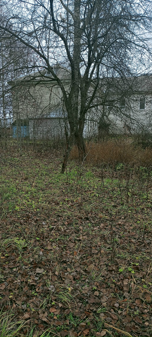 Найдите котика
#Я_тебя_видел@podslushano_velsk