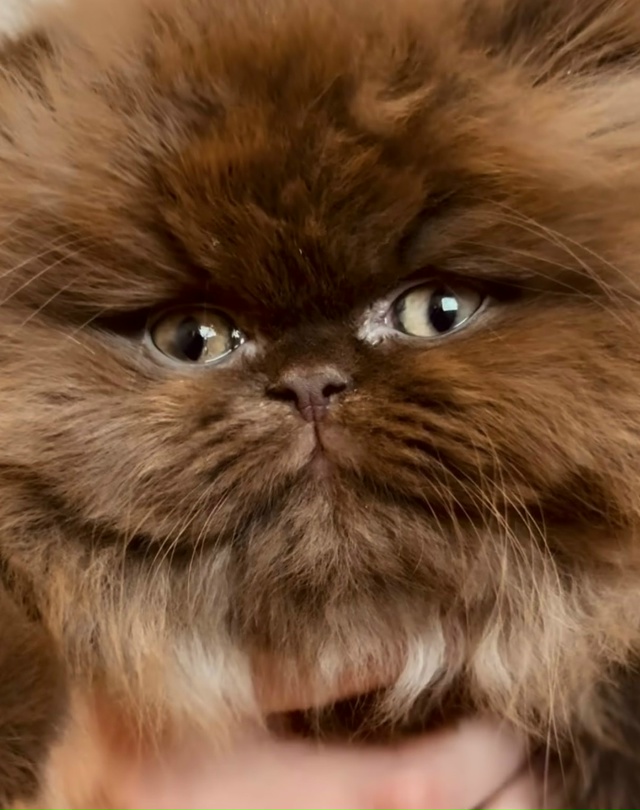 Какой милаш