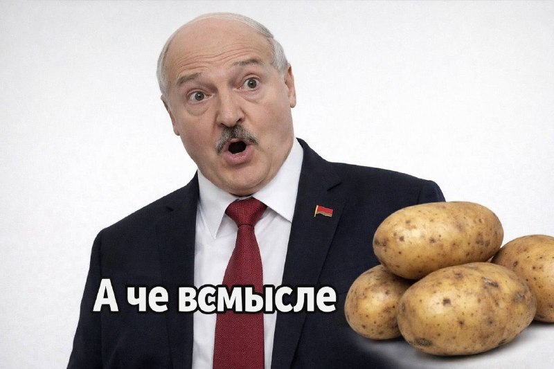 В Германии начали бесплатно раздавать тонны картофеля из-за рекордного за 25 лет урожая — местные СМ