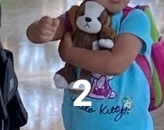 #ПотерялиНашлиПомогите
1 Нужно найти дом 7 котятам , на...