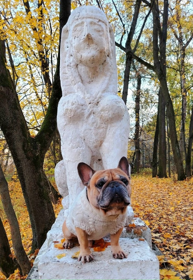 Усадьба Пехра-Яковлевское в осенних красках.
📸Натал?...